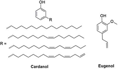 Cardanol and Eugenol Sourced Sustainable Non-halogen Flame Retardants for Enhanced Stability of Renewable Polybenzoxazines